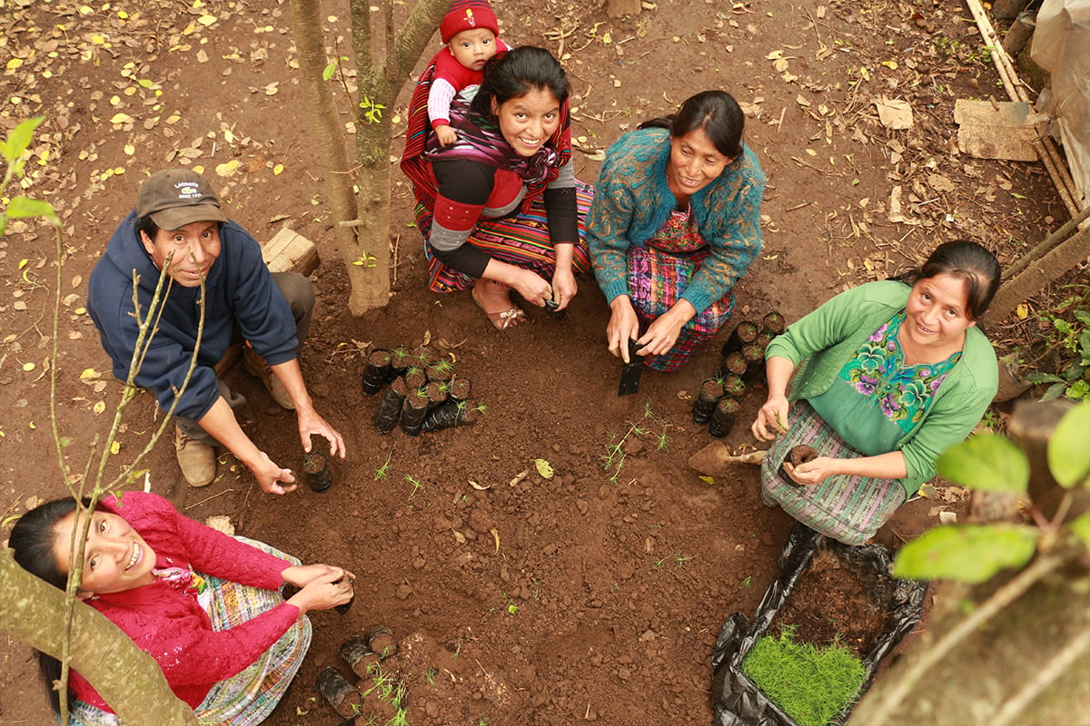 Unbound: people planting seedlings