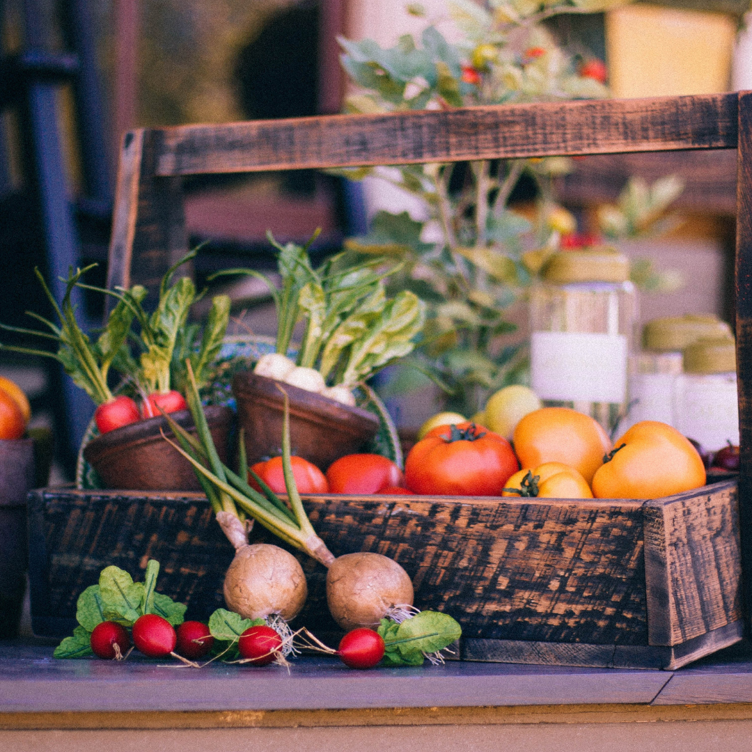 vegetable garden
