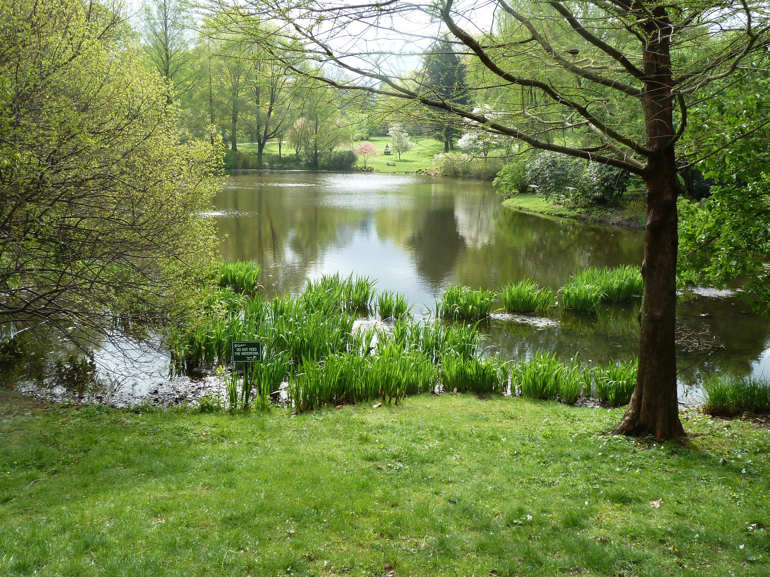 2020 1110 SBailey willow pond mt auburn 05-2011-1