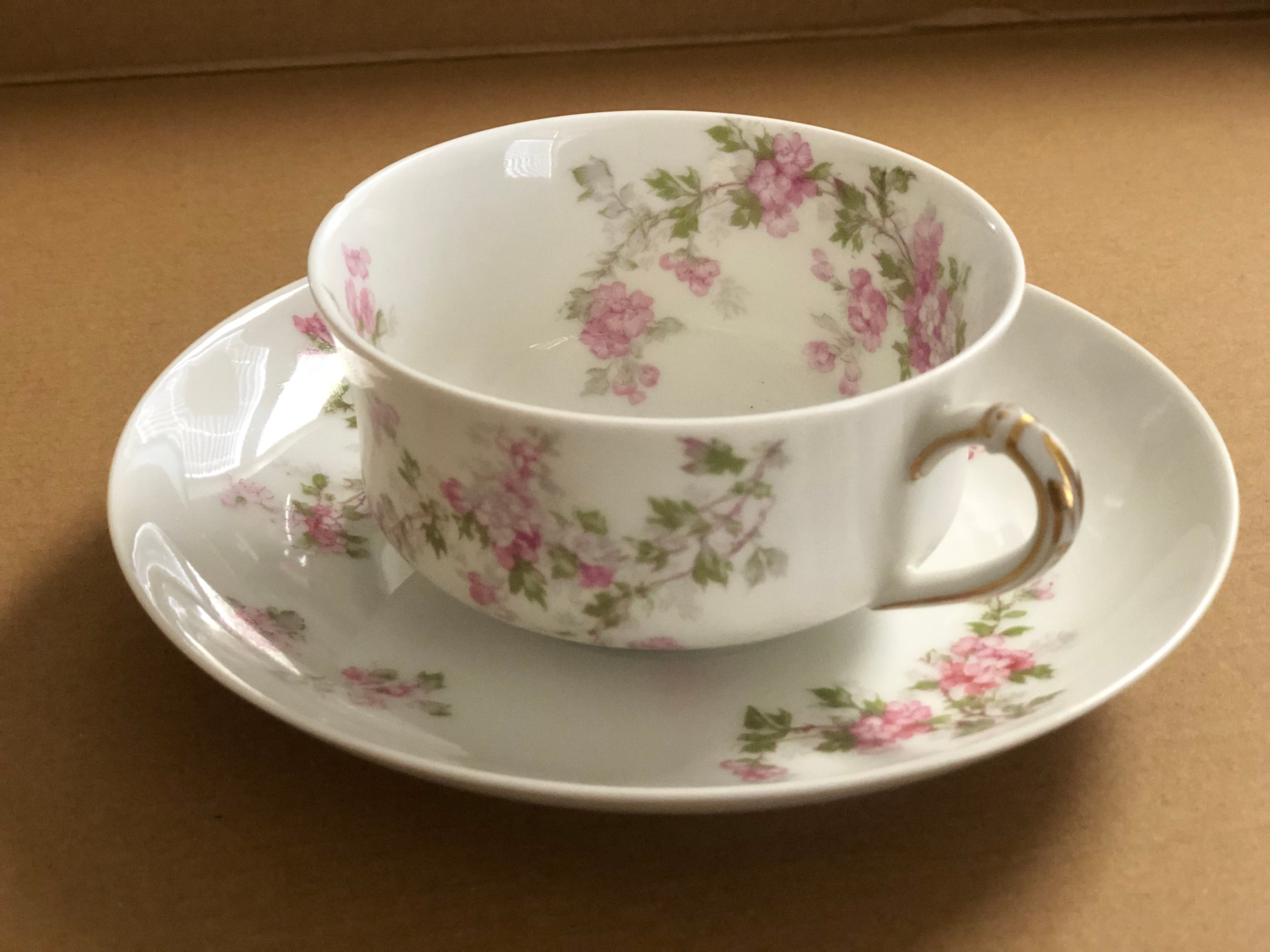 20210317 MHayes Haviland Teacup Limoges France-1