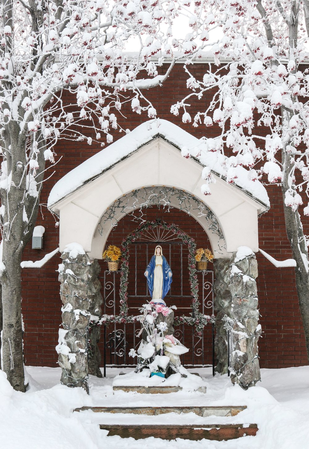 Our Lady of the Snows