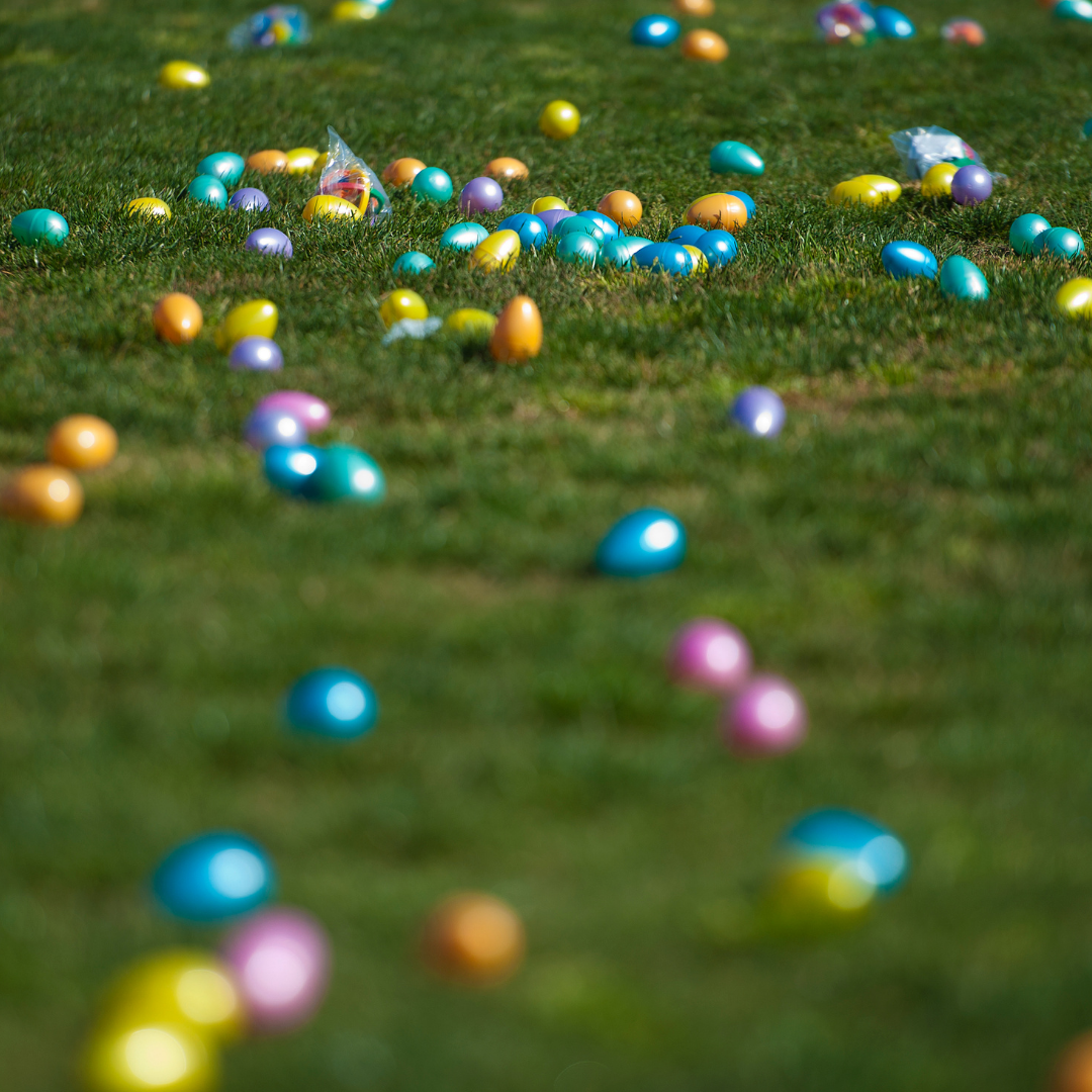 easter eggs in grassy field