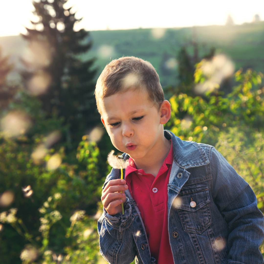 little boy blowing dandelion seeds