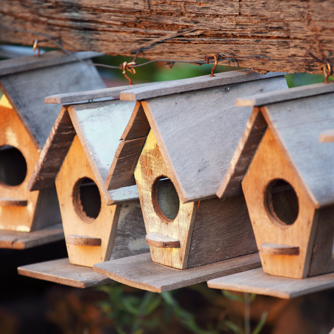 homemade birdhouses