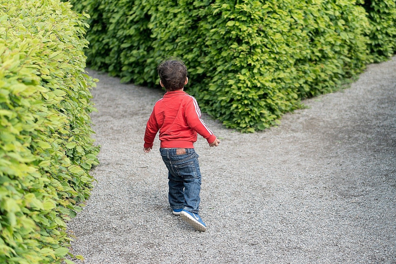 little boy running toward a fork in the road