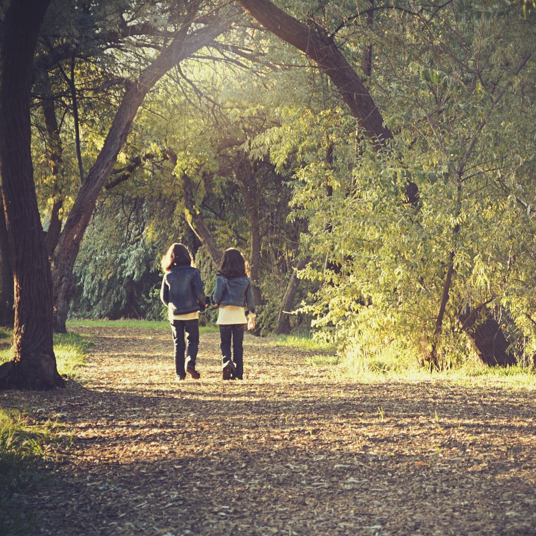 2 little girls walking along sunlit path under trees