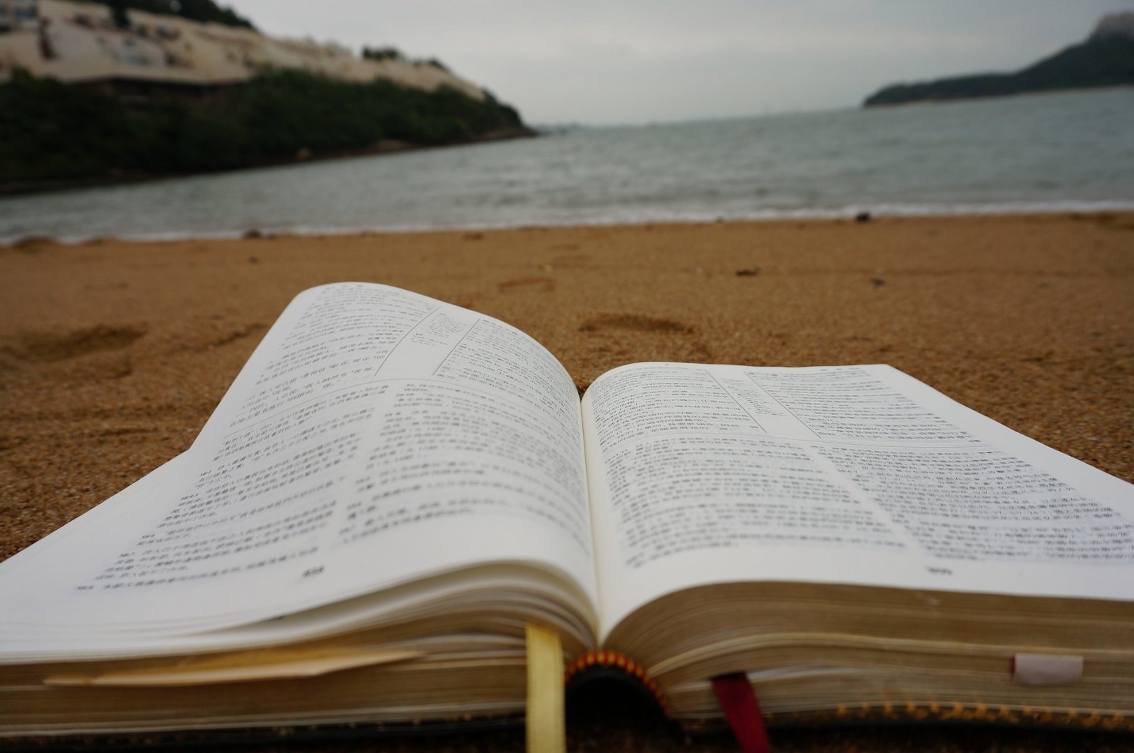 Open Bible on beach