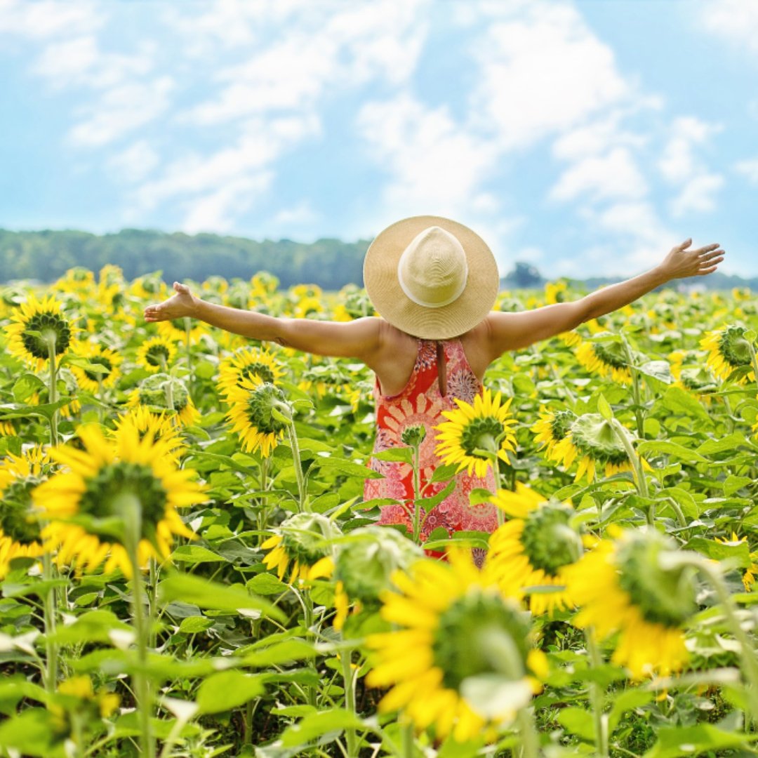 woman standing in field of sunflowers