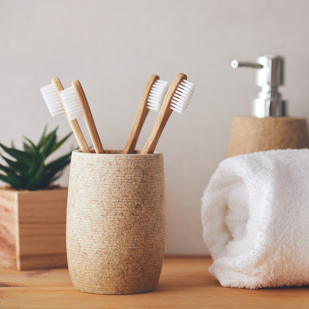 plant, toothbrushes, soap, and towels on bathroom counter