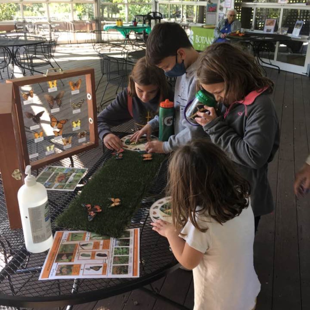 kids at butterfly garden