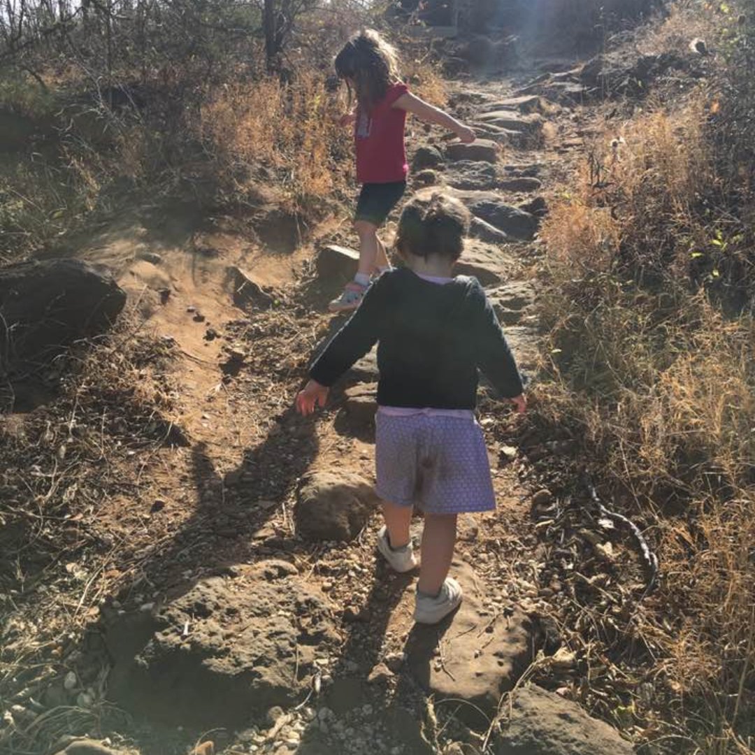 kids walking along a nature trail