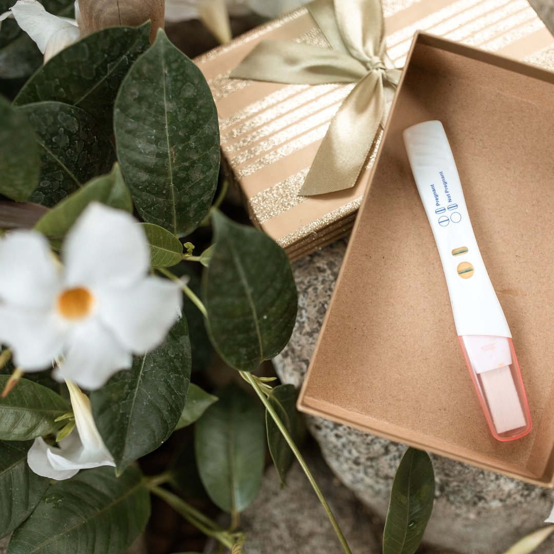 pregnancy test in a gift box, white flower