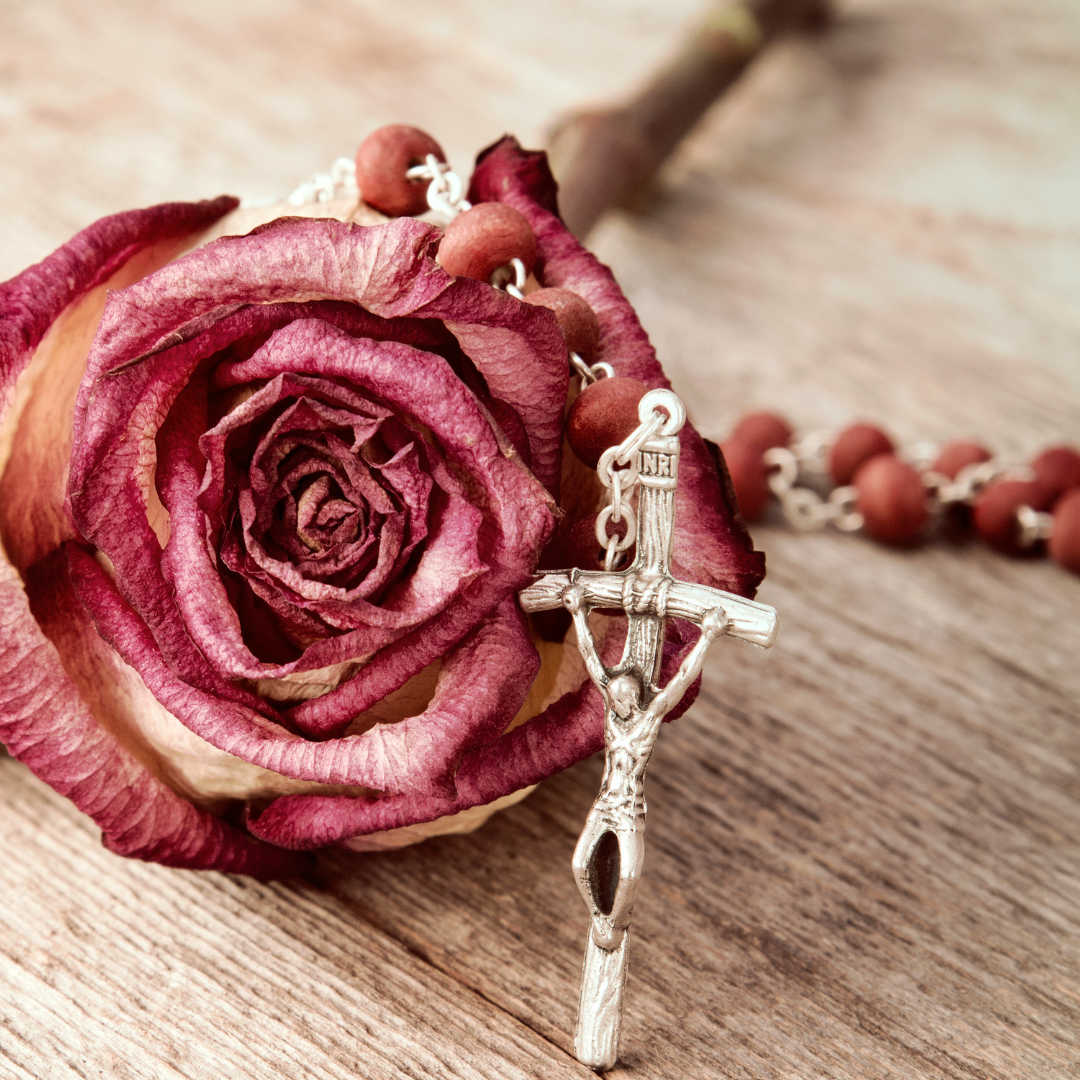 Rosary and rose bloom