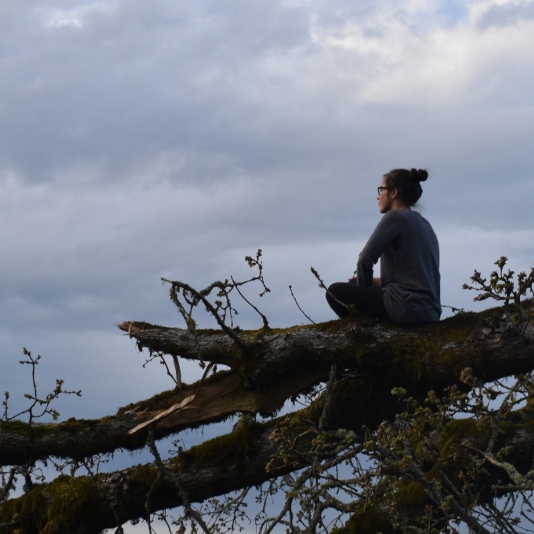 woman sitting on broken tree branch, looking out at cloudy sky