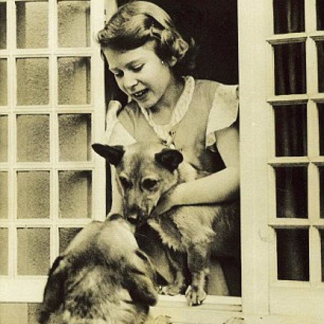 Queen Elizabeth (1036) with dogs