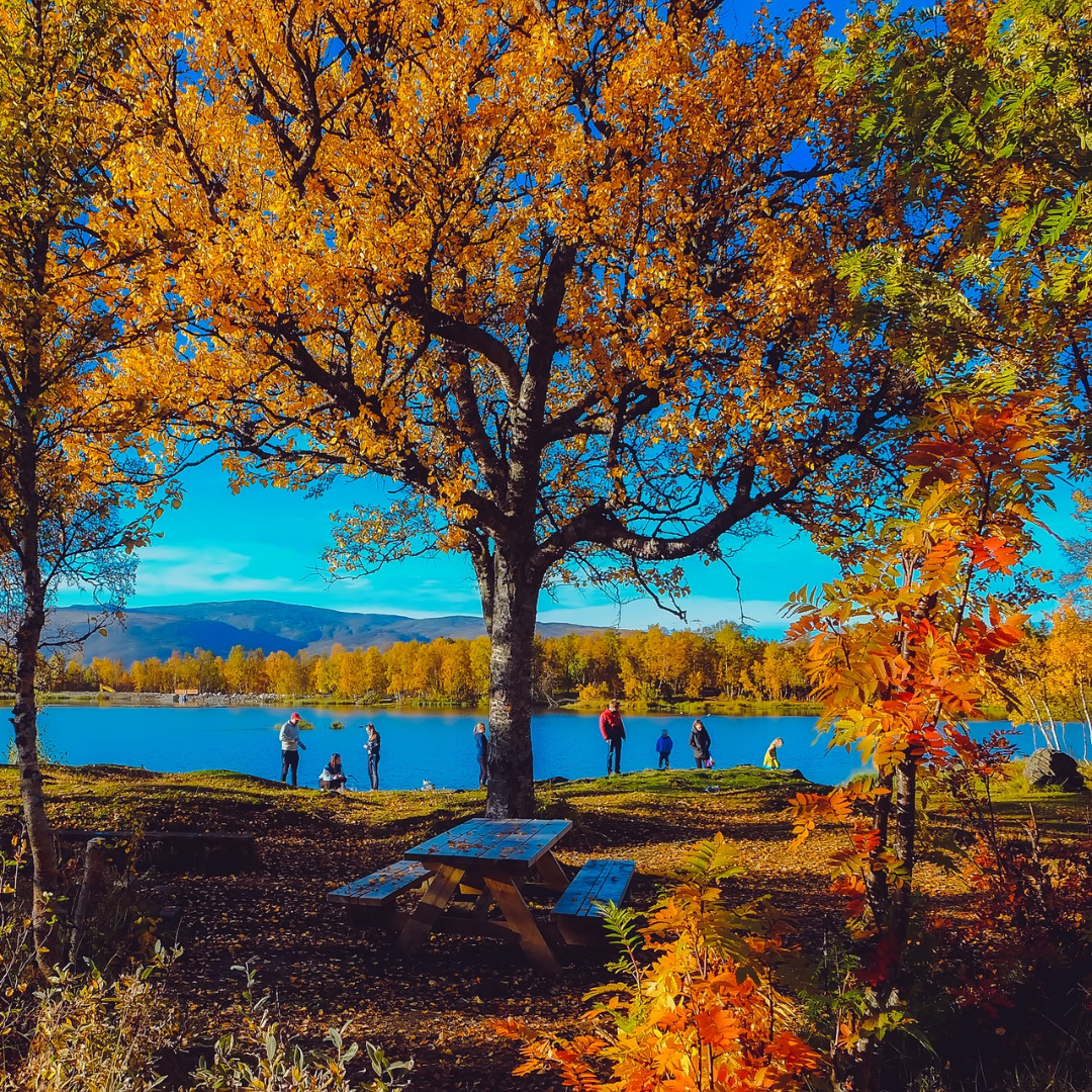 autumn view of trees and a lake with picnic table in foreground