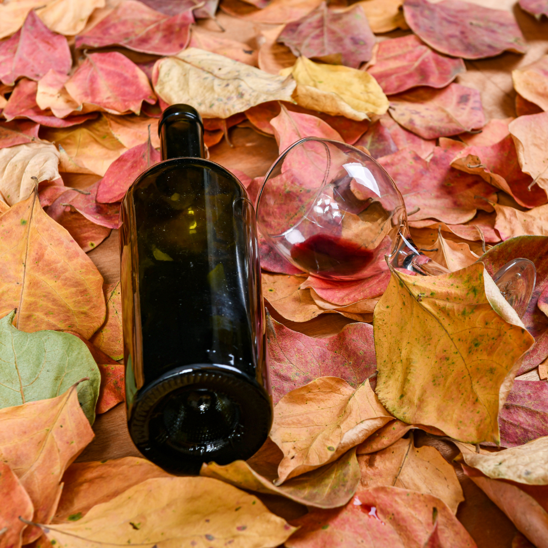 empty wine bottle and glass on top of autumn leaves