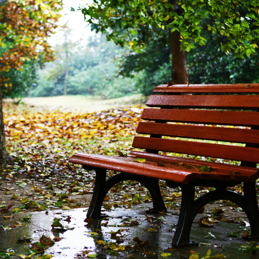 park bench in autumn