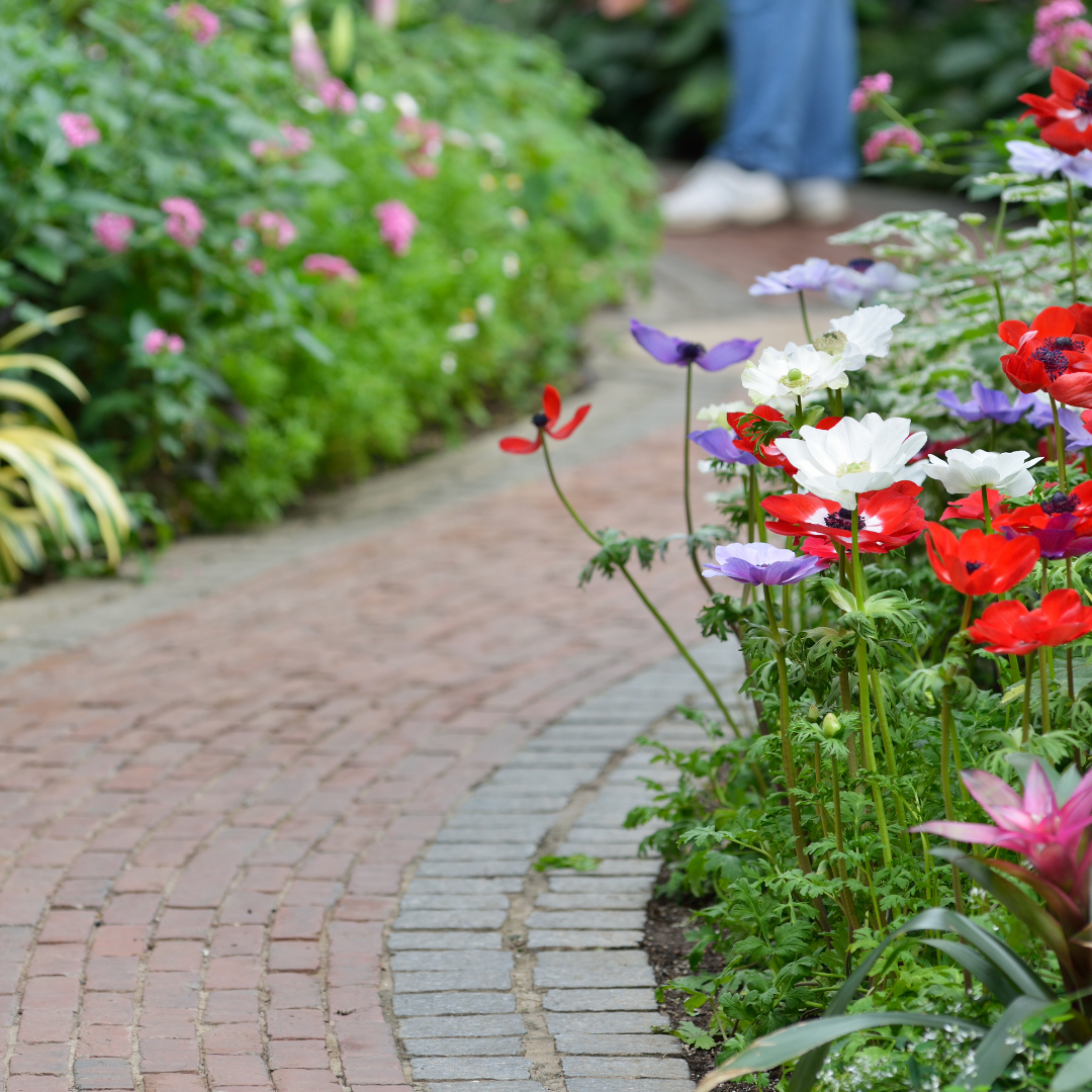 garden path