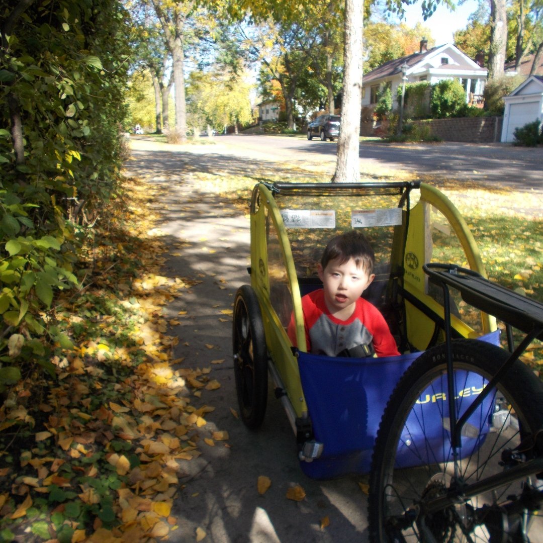 little boy in the back of a bike trailer in autumn