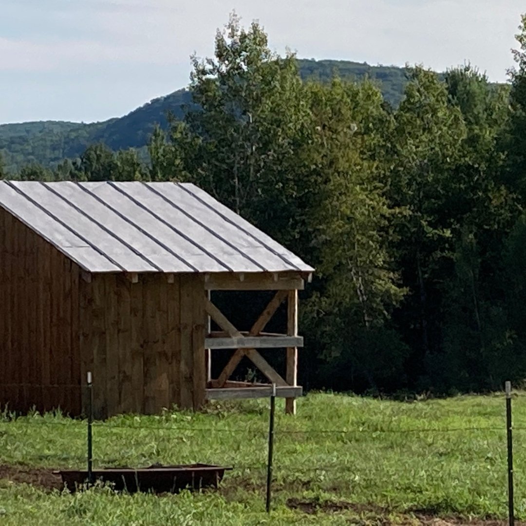 small barn in a field