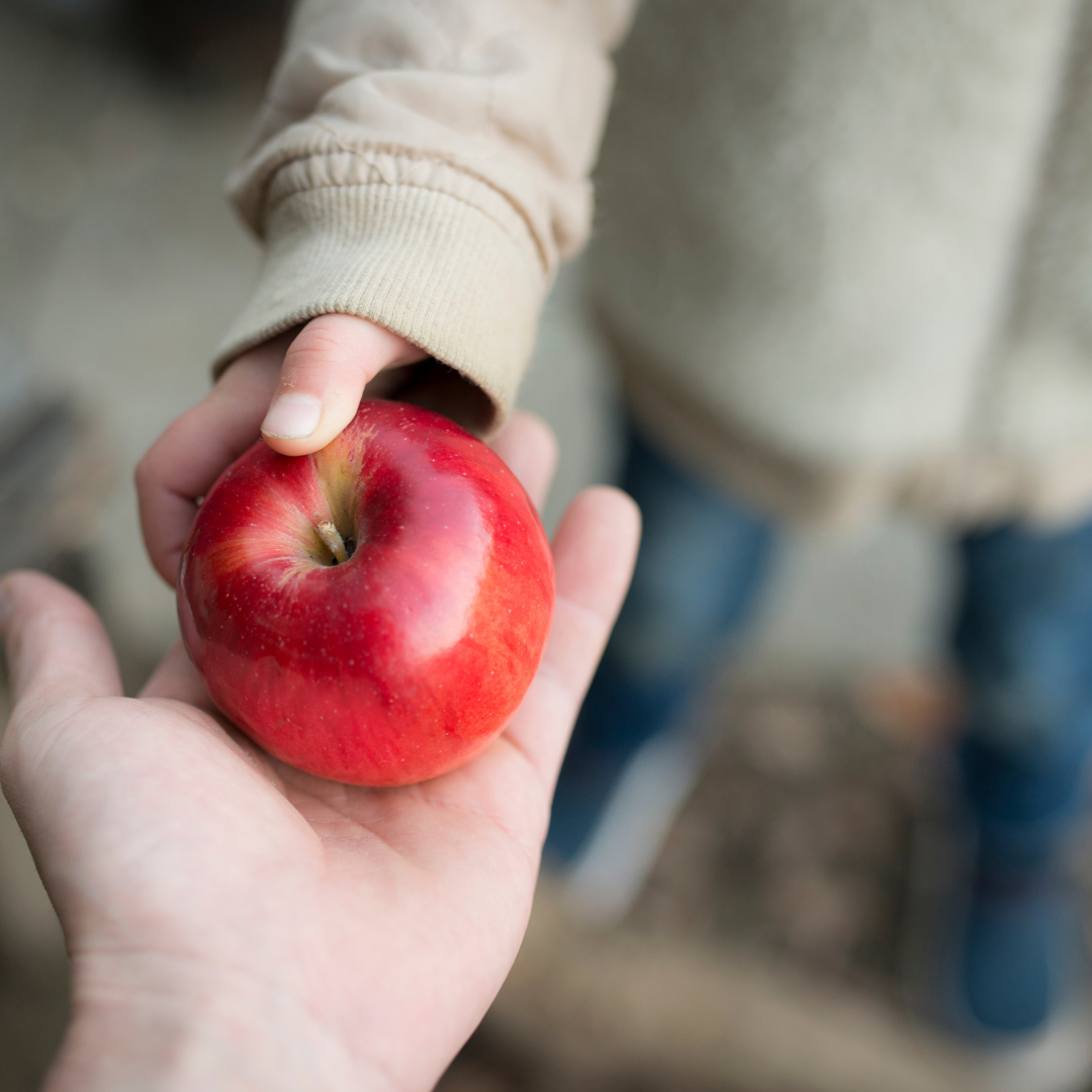 child handing an apple to someone
