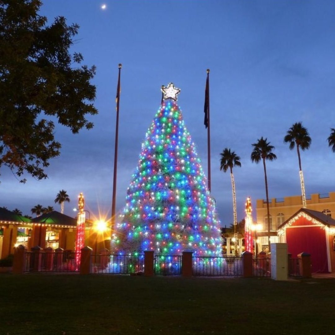 tumbleweed Christmas tree, Chandler, ZA (Public Domain)