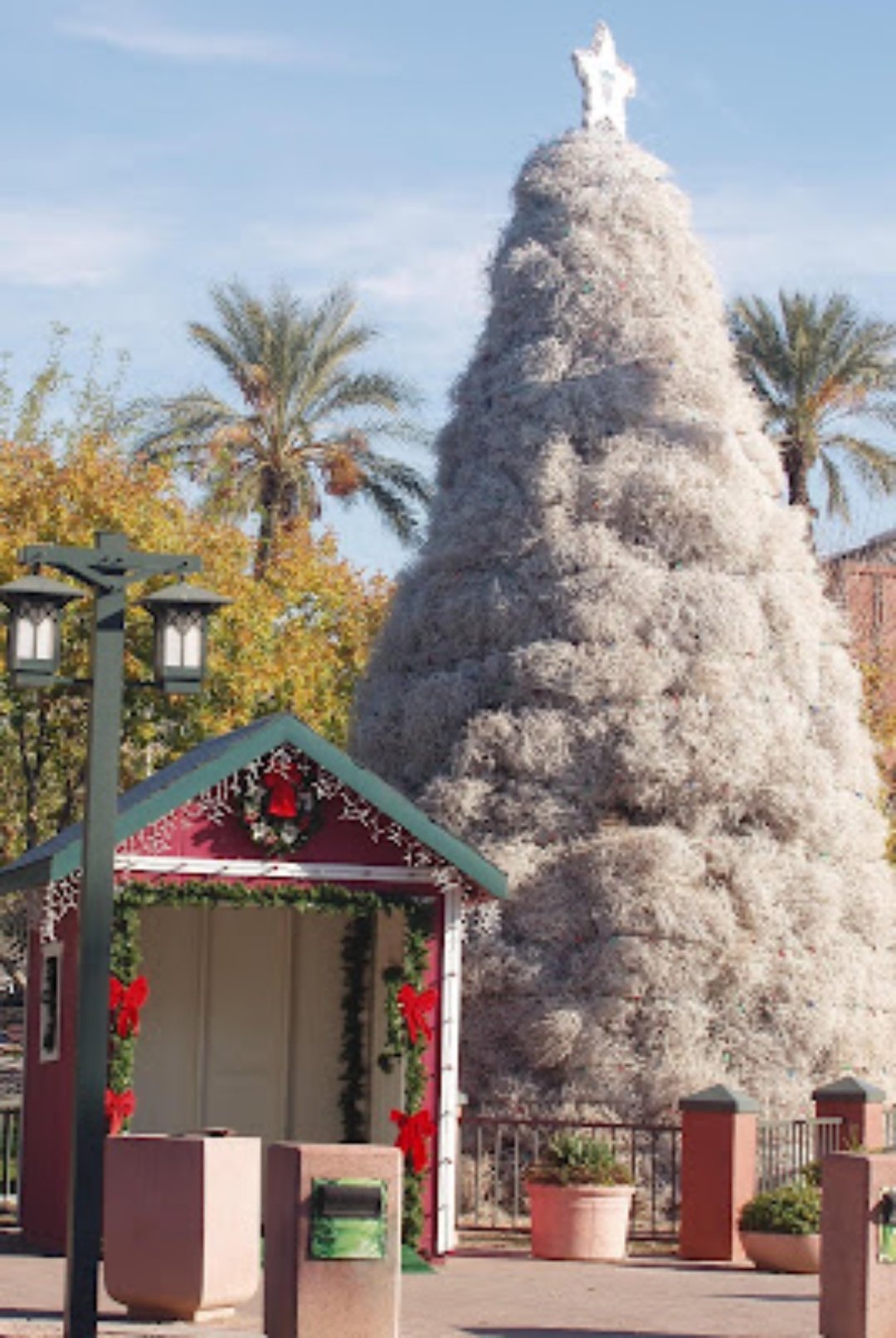 Advent tumbleweed tree