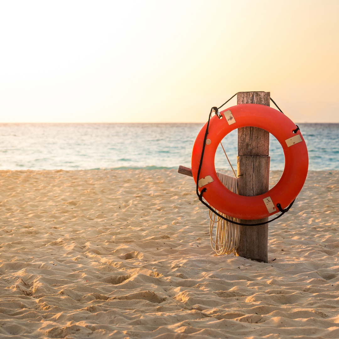 life preserver along the shoreline