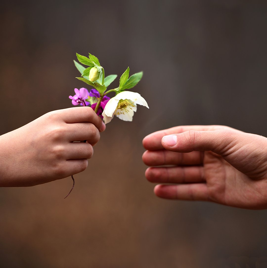 bunch of flowers in a child's hand