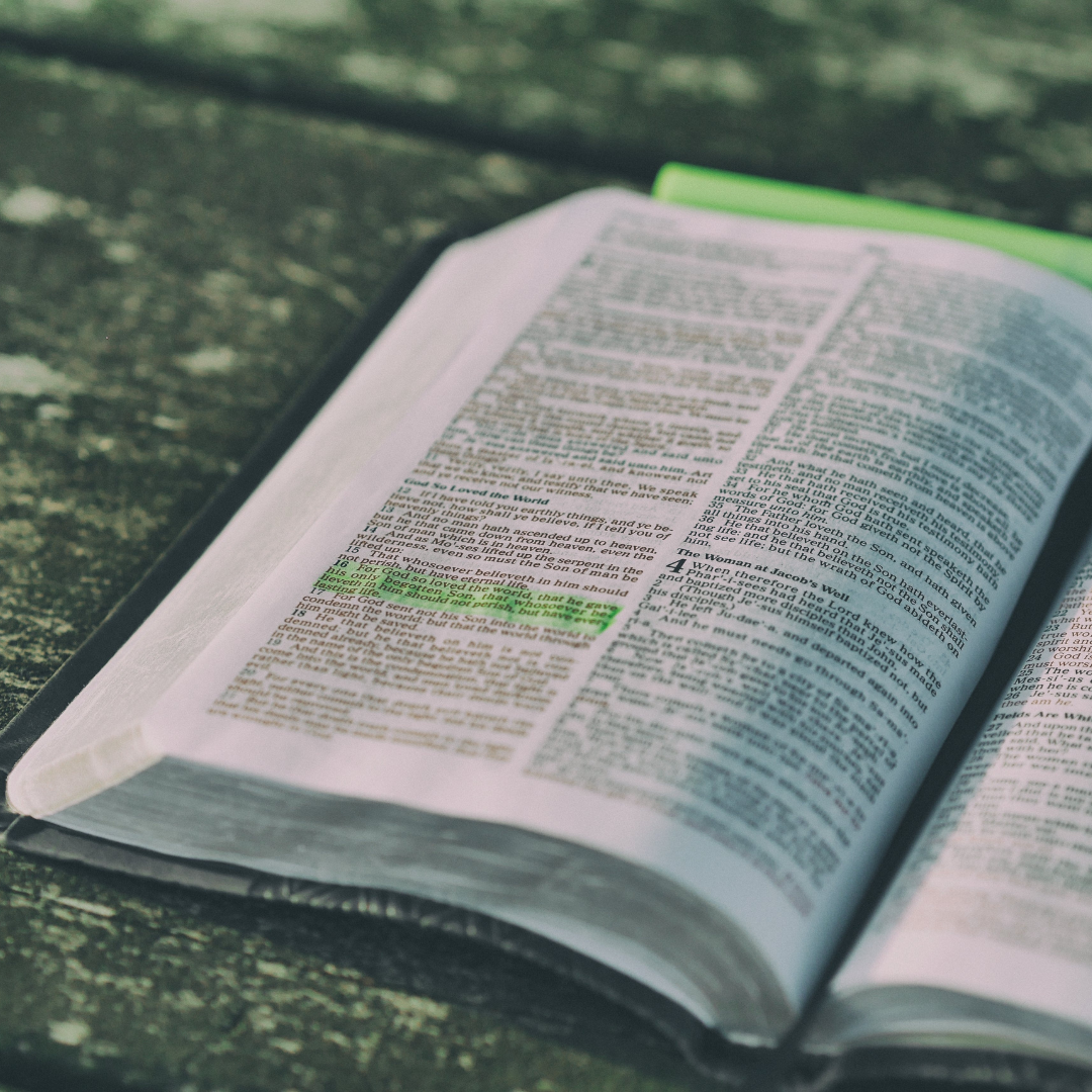 open Bible with highlighted passage