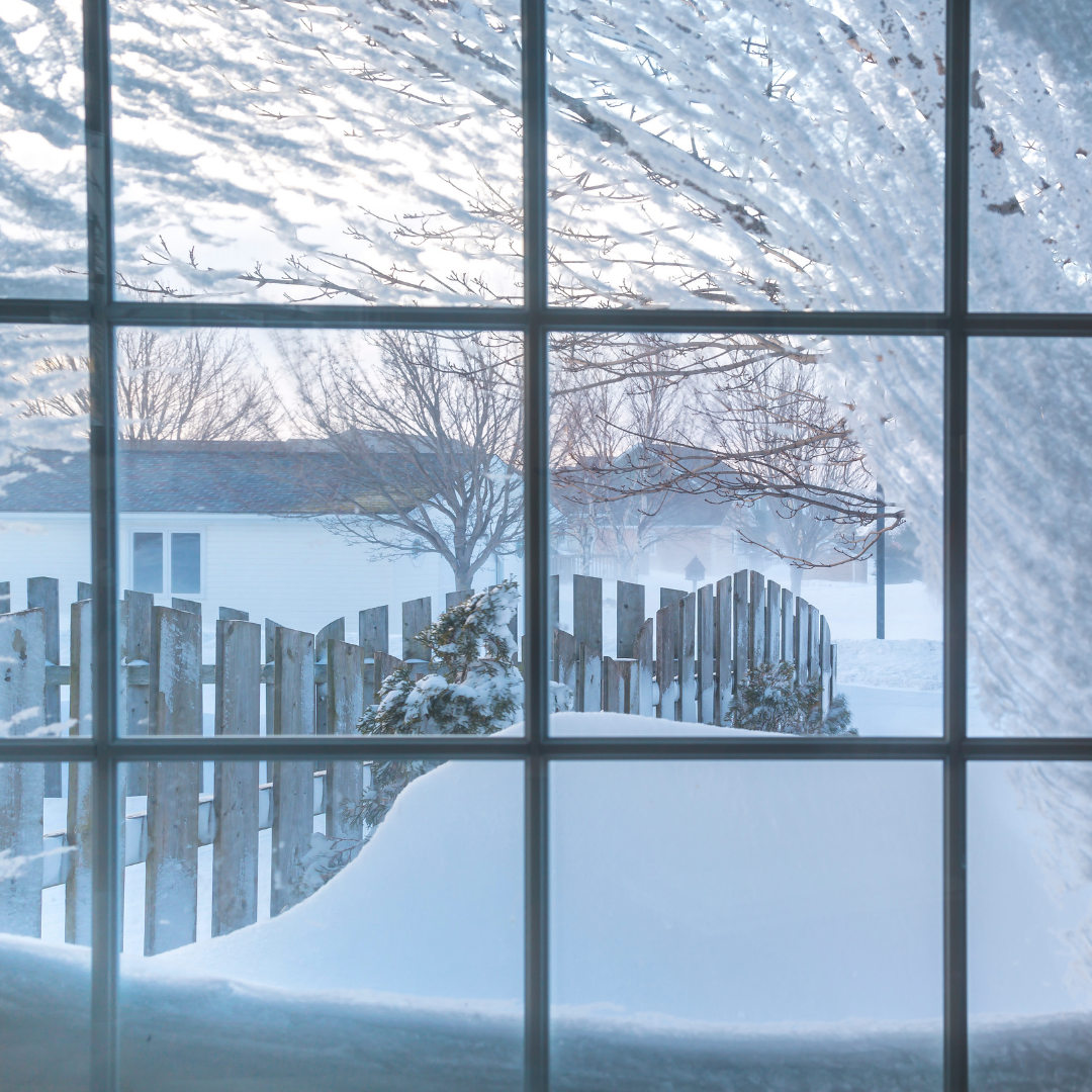 snowfall on trees, fence, and yard