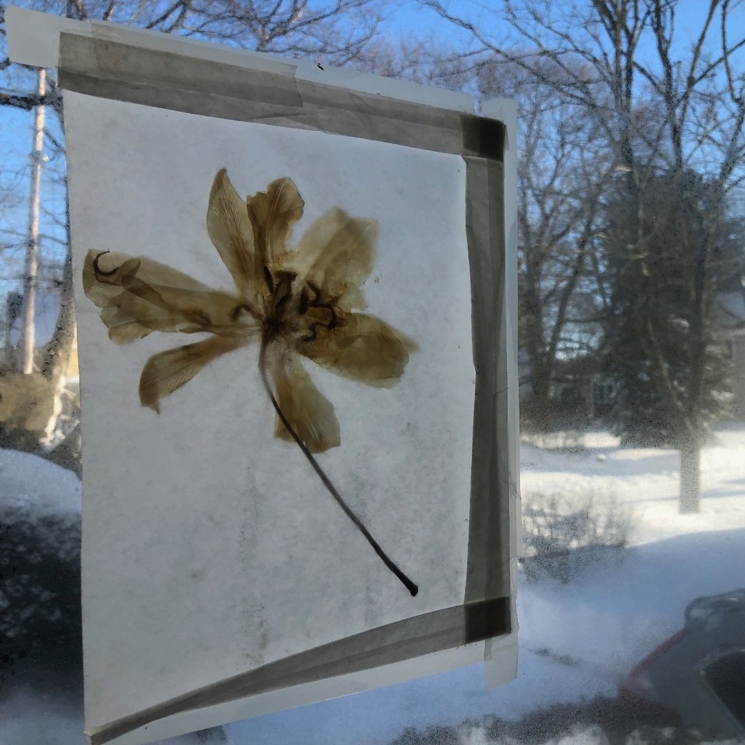 watercolor painting hanging on a window