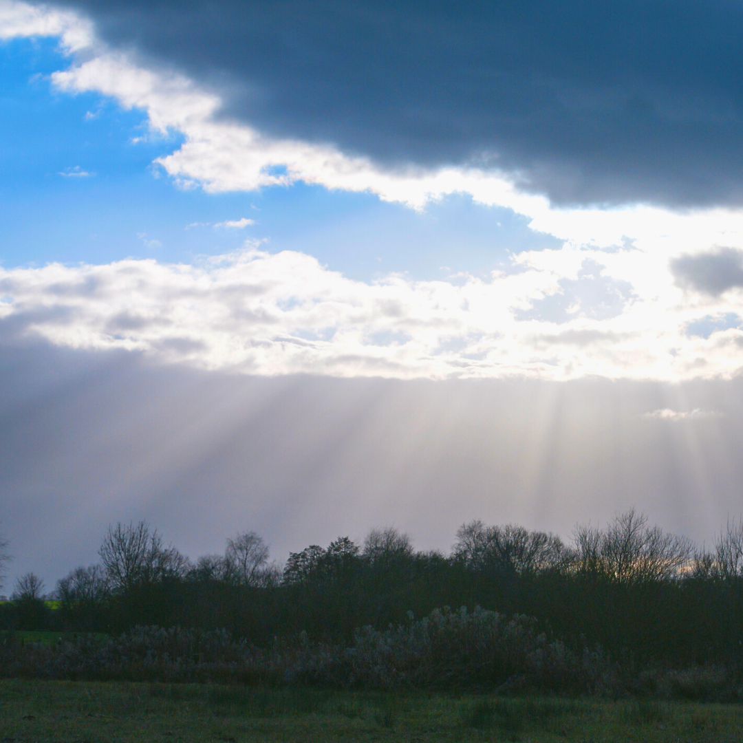 crepuscular rays