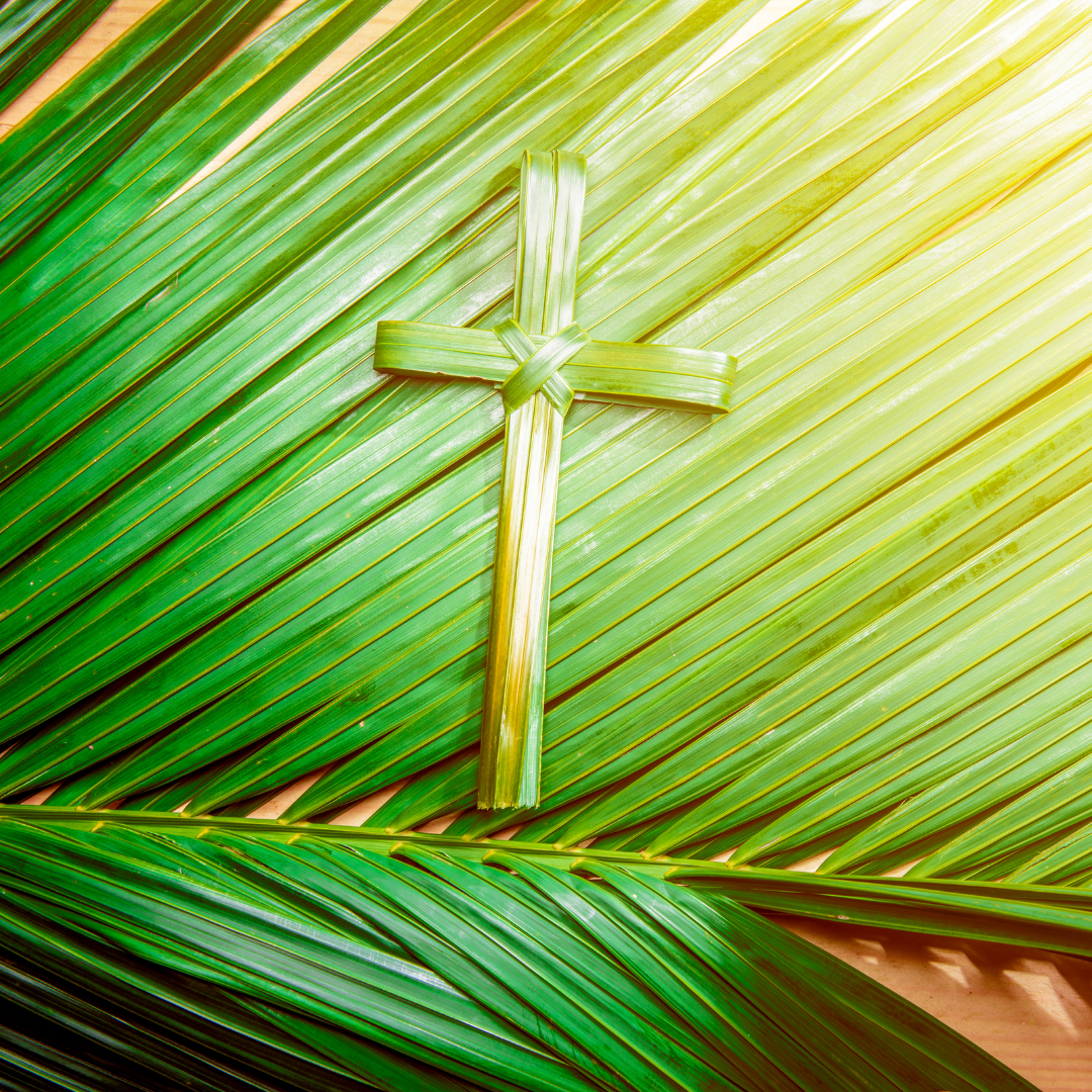 palm front and palm cross