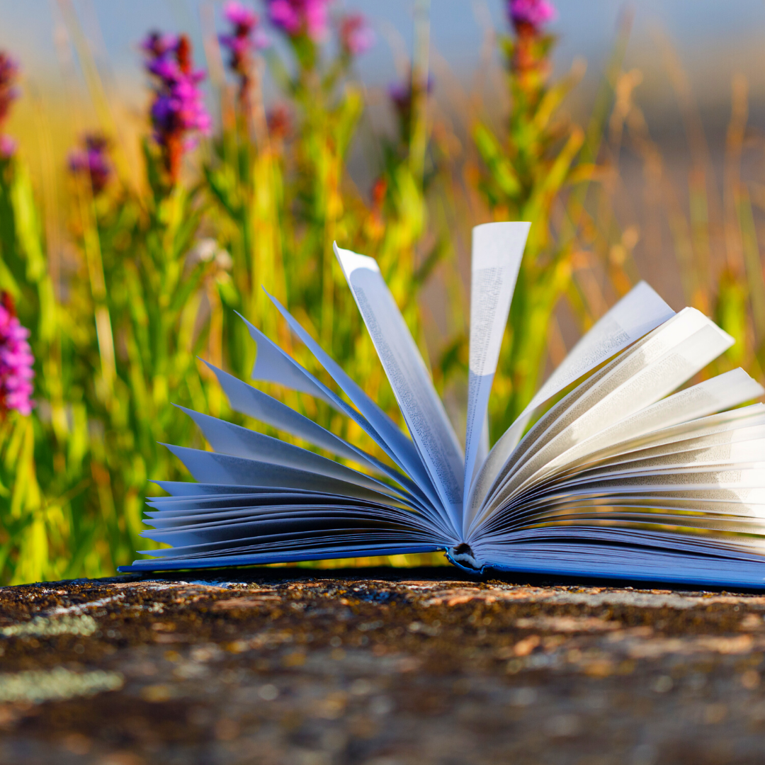 open book on stone wall in front of purple flowers