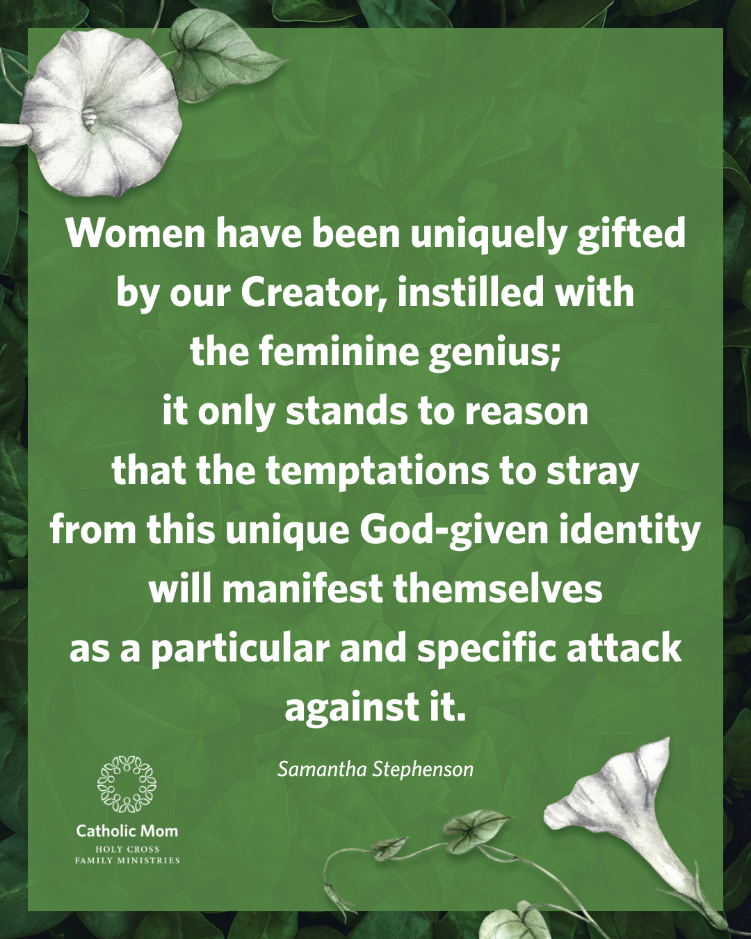 2026 Bellbind Book Club intro meme