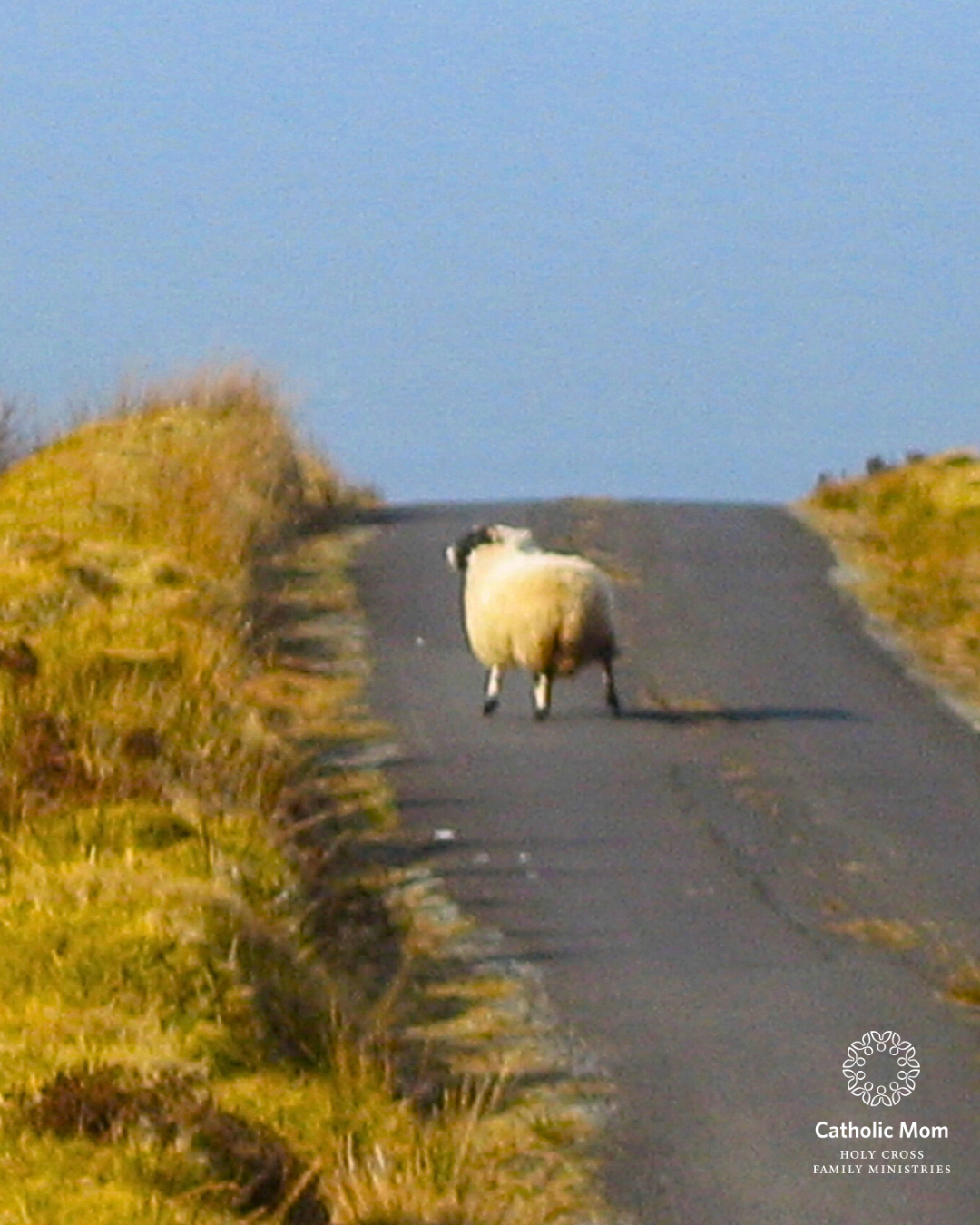 Helping Our Kids Deal with Imperfect Shepherds