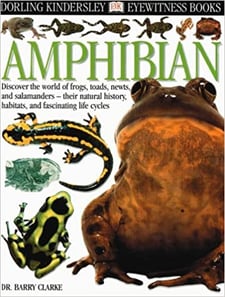 Amphibian