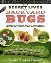 Backyard Bugs