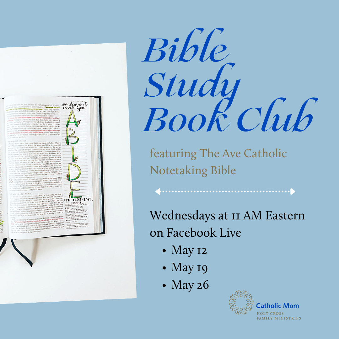 Bible Study Book Club with dates - IG