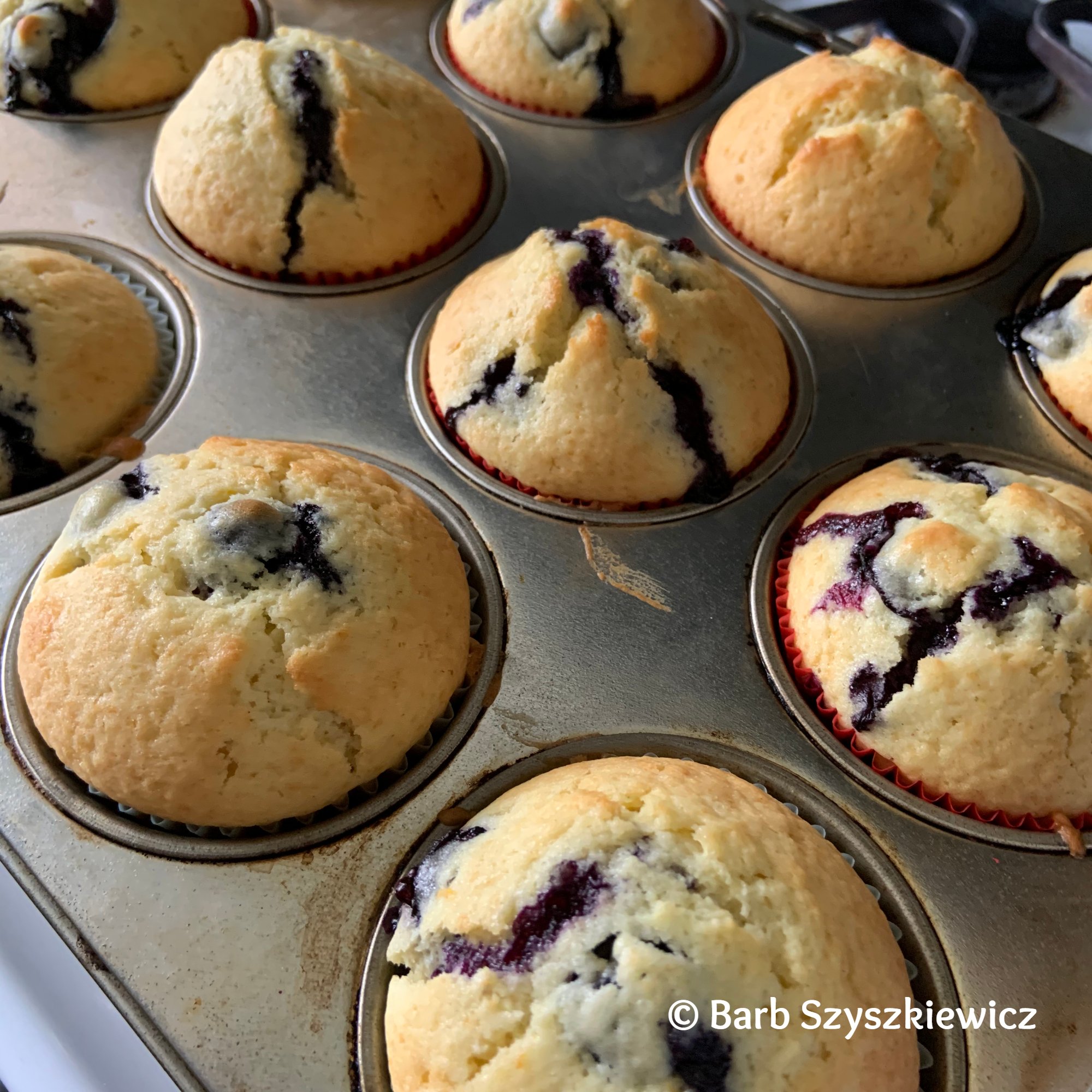 Blueberry Muffins 2 -BSzyszkiewicz
