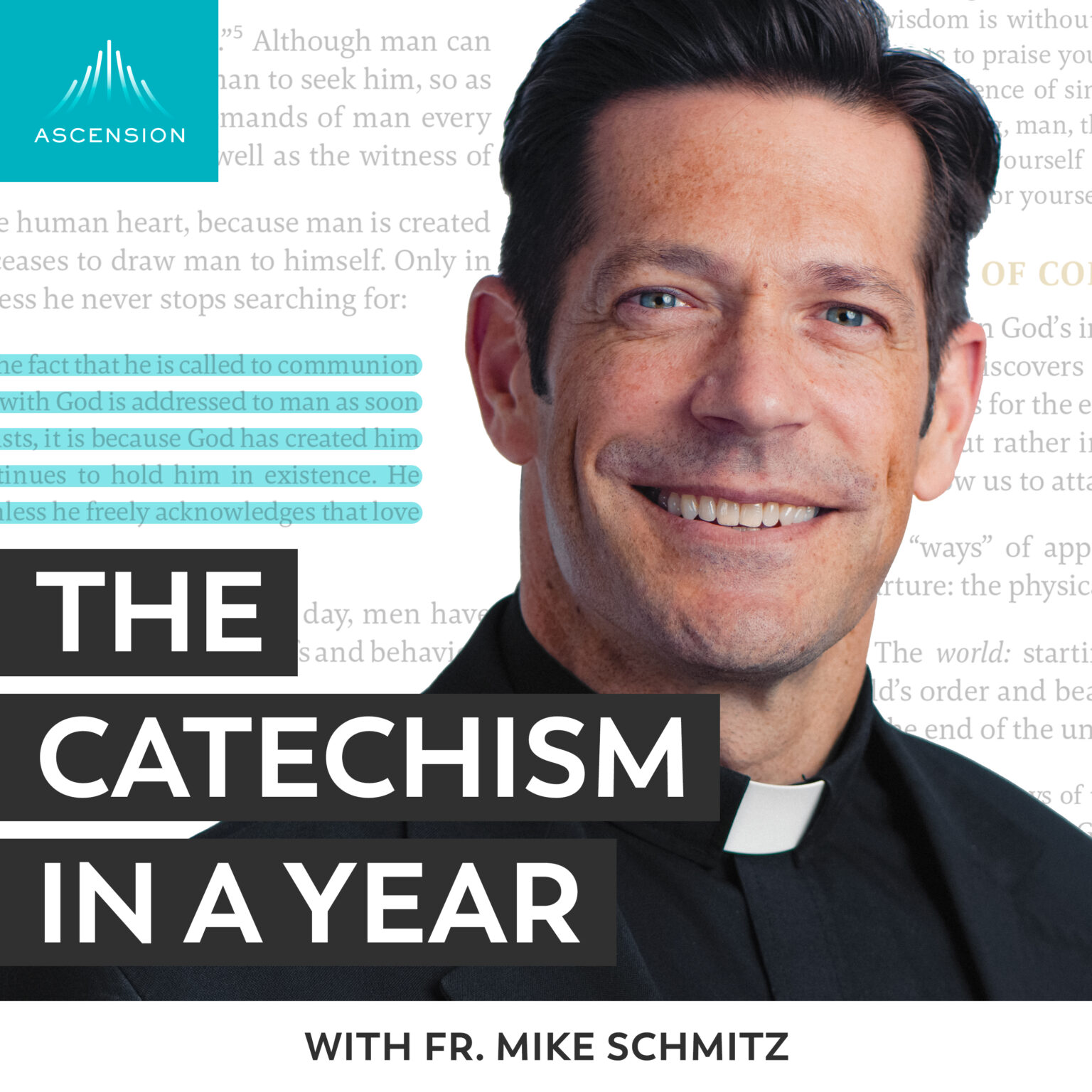 New for 2023 The Catechism in a Year