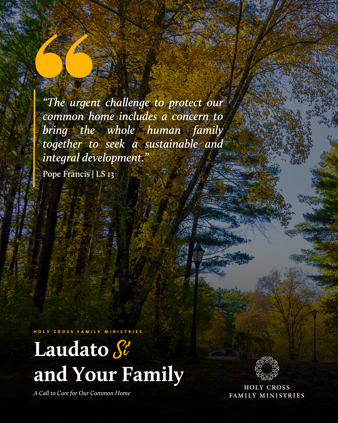 CM Laudato Si Quote 2
