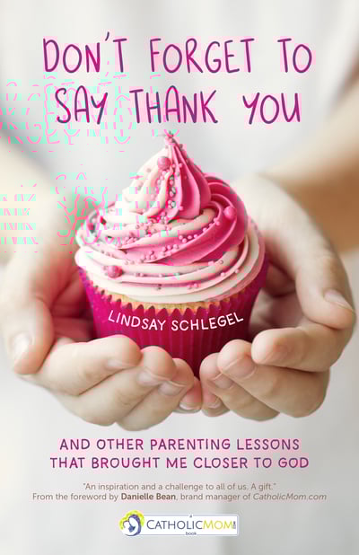 Dont Forget to Say Thank You-Lindsay Schlegel