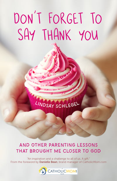 Dont Forget to Say Thank You-Lindsay Schlegel