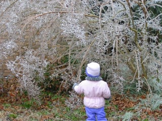 Escape the Winter Doldrums with Homeschool Science