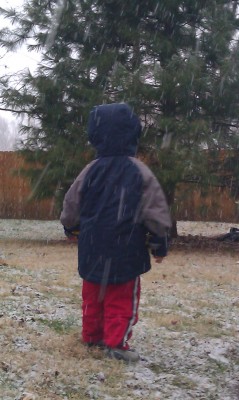 The Falling Snow