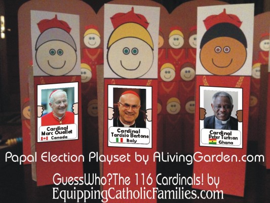 116 Cardinals with election play set