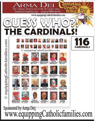 116_cardinals_cover